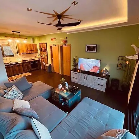 Buena Vista- Floating House Sava River Villa