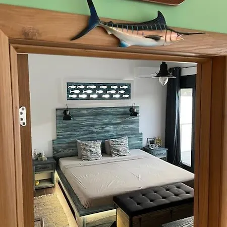 Buena Vista- Floating House Sava River