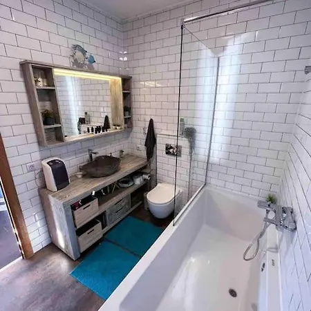 Buena Vista- Floating House Sava River 贝尔格莱德